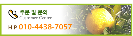 주문 및 문의